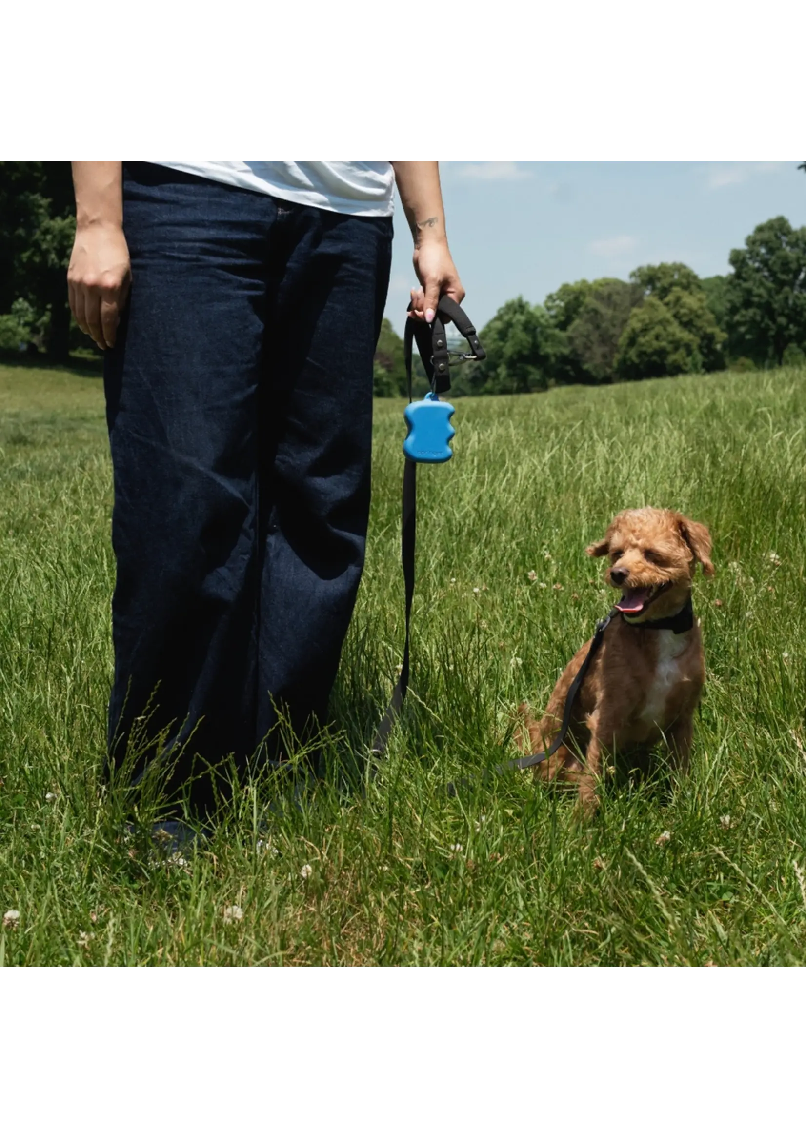 Springland Pets Distributeur de gâteries pour chiens par Springland Pets