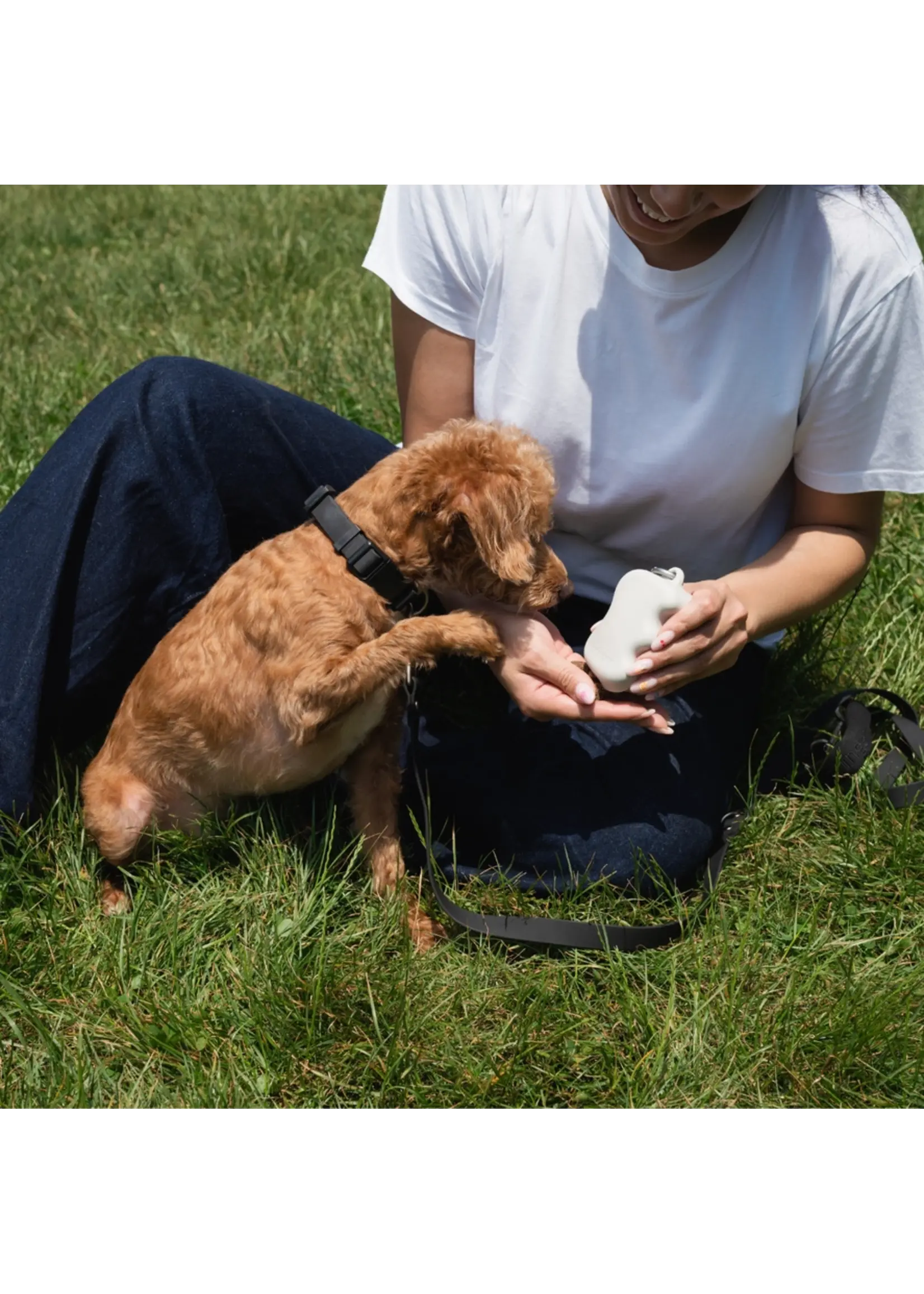 Springland Pets Distributeur de gâteries pour chiens par Springland Pets