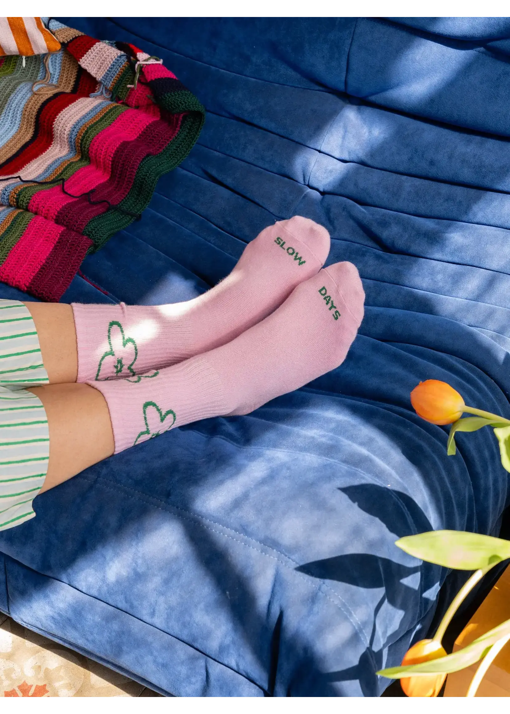 TARTA GELATINA socks by Tarta Gelatina