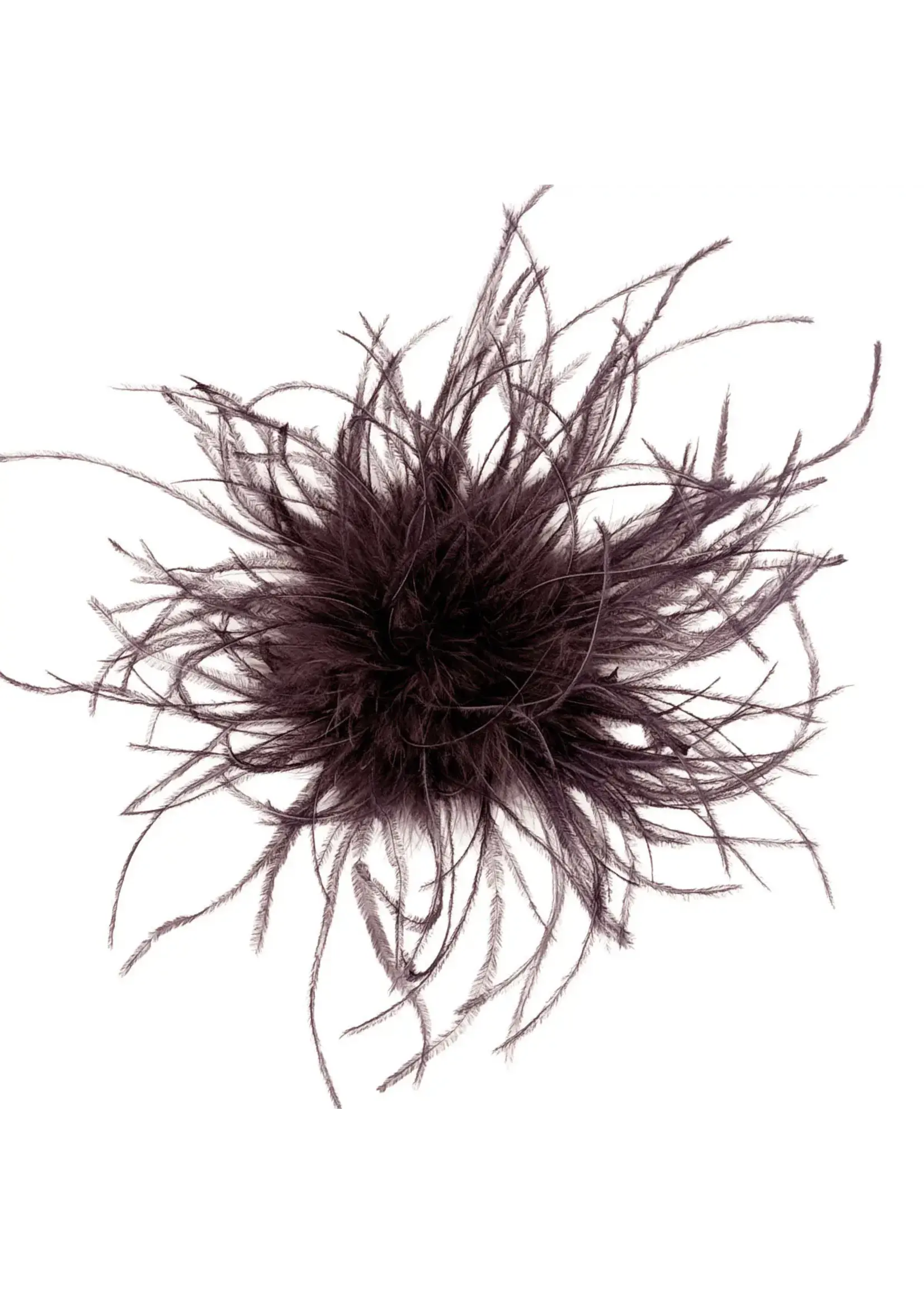 PANDEMONIUM Broche en plume d'autruche Pandemonium