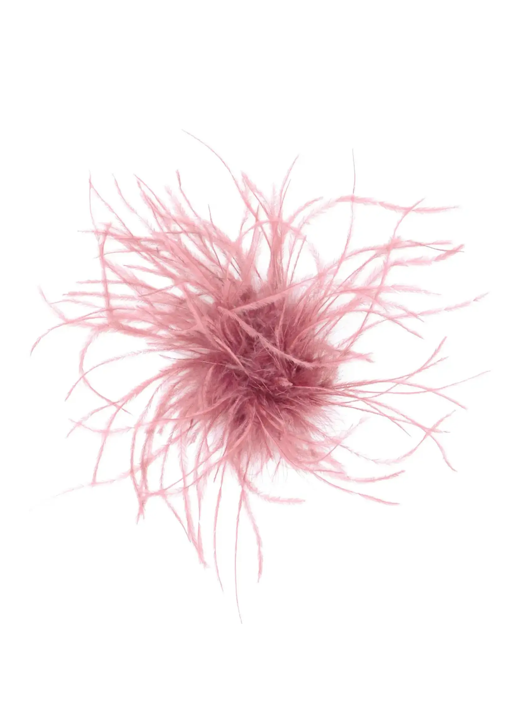 PANDEMONIUM Pandemonium Ostrich Feather Brooch