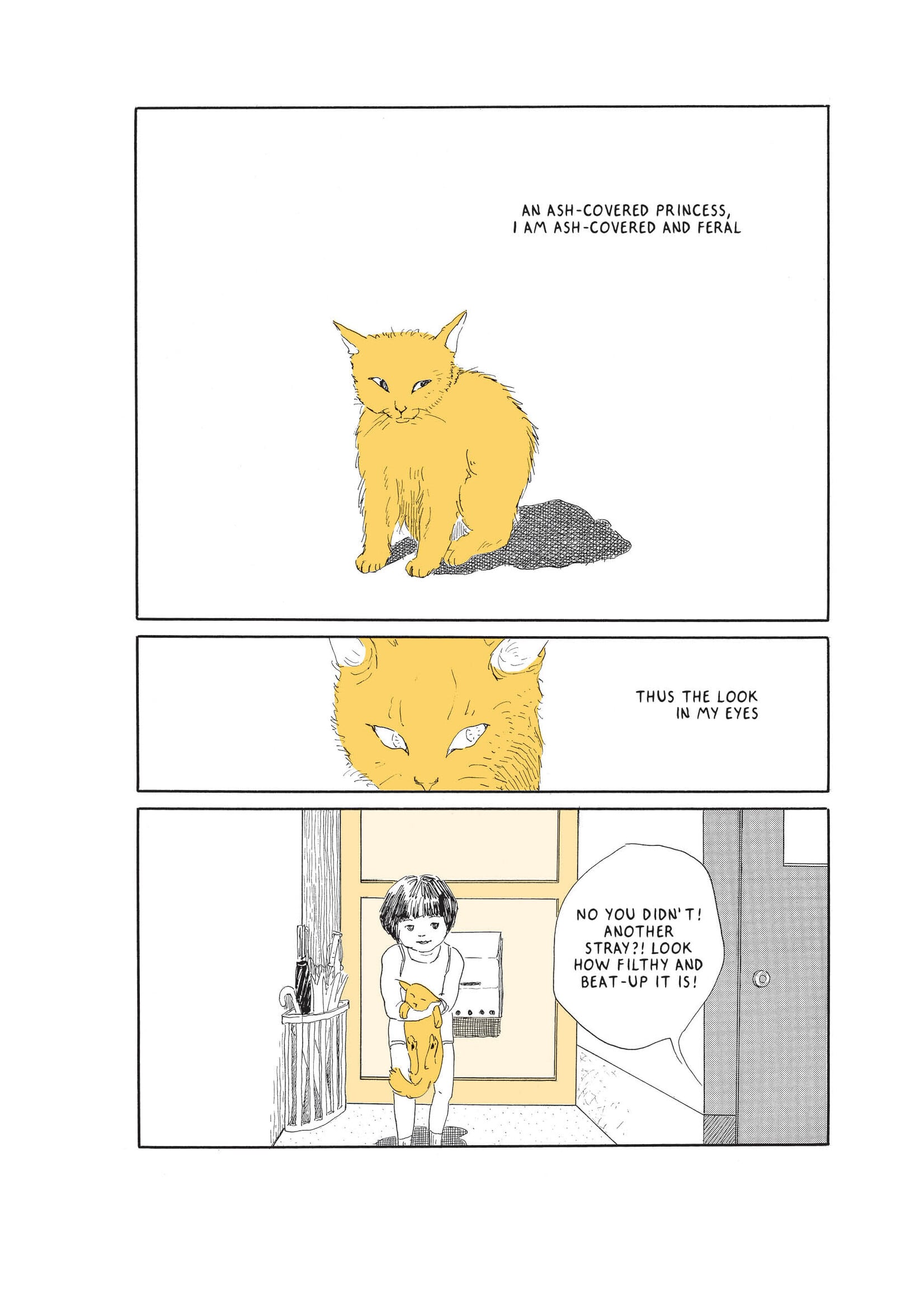 Drawn & Quarterly "Sassy Cats" graphic novel by Yamada Murasaki