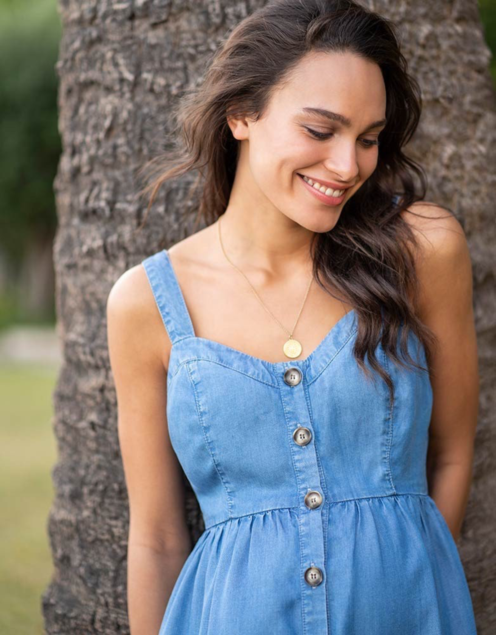 seraphine denim dress