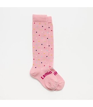 Lamington Lamington Kids Knee High Merino Sock