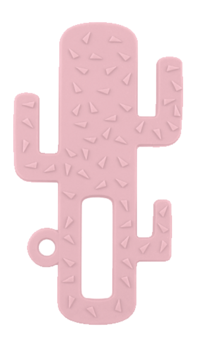 Minikoioi Minikoioi Cactus
