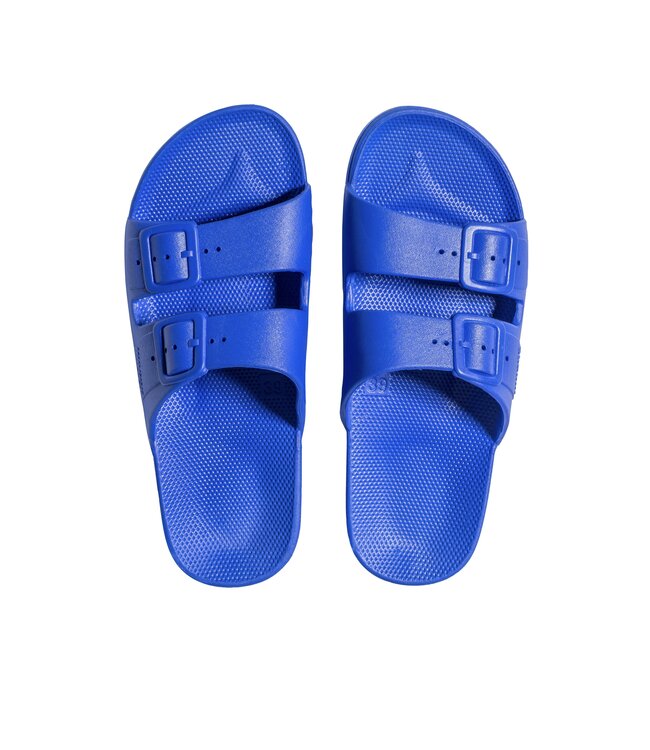Freedom Moses Freedom Moses Basic Slides