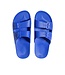 Freedom Moses Freedom Moses Basic Slides