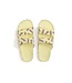 Freedom Moses Freedom Moses Print Slides