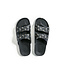 Freedom Moses Freedom Moses Print Slides