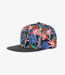 Headster Headster Snapback Hat Easy, Tiger!