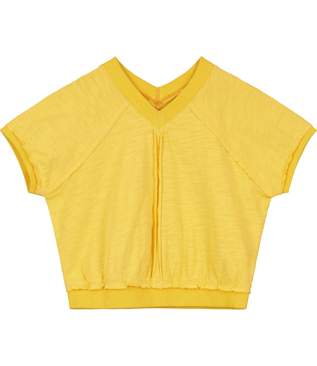 Poppet & Fox Poppet & Fox Relaxed V Neck Tee