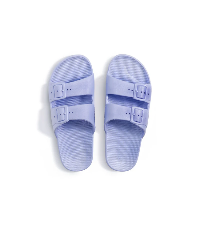 Freedom Moses Freedom Moses Basic Slides