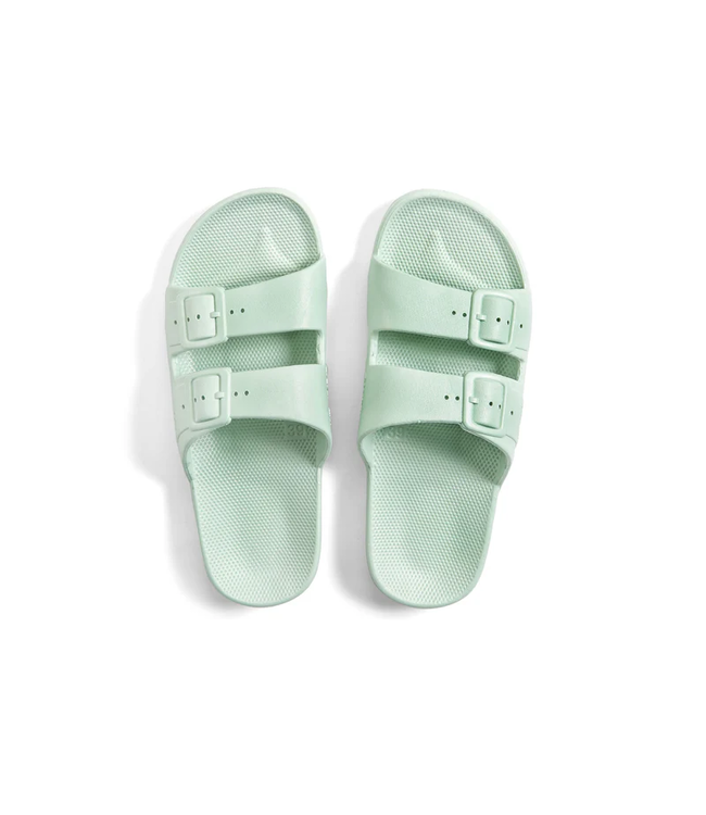 Freedom Moses Freedom Moses Basic Slides