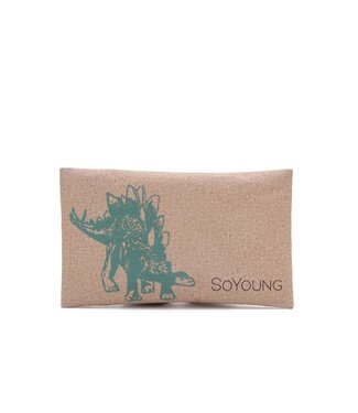 SoYoung So Young Ice Pack