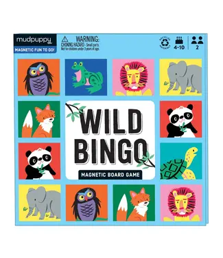 mudpuppy Magnetic Board Games