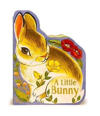 Little Bunny Board Book