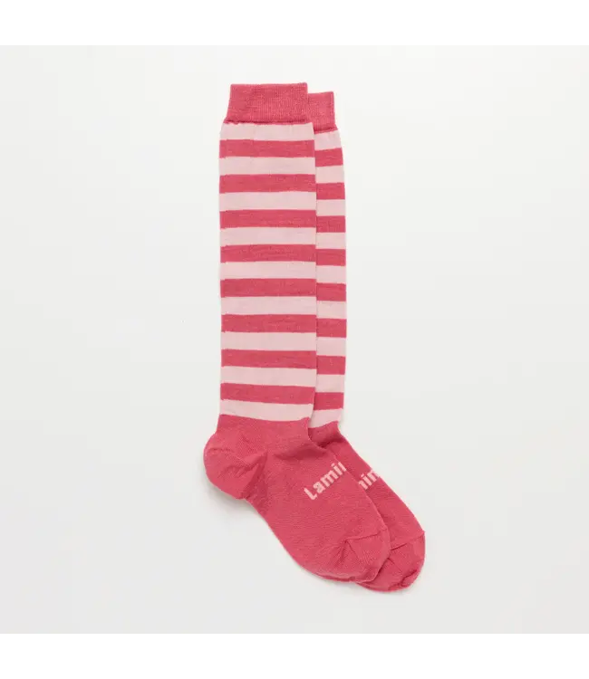 Lamington Lamington Kids Knee High Merino Sock