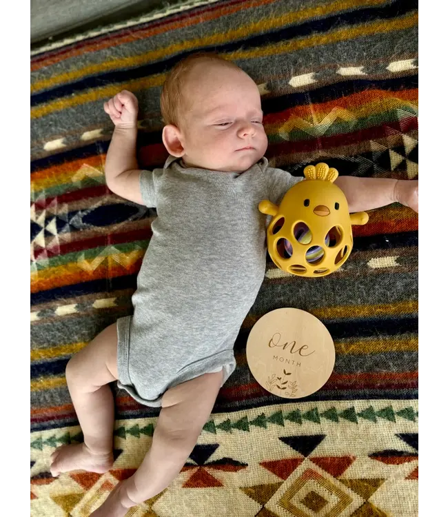 Peaks & Valleys Clucky Chew Buddy