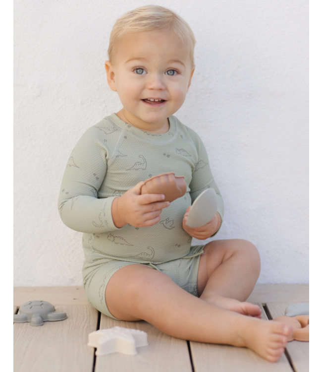 Quincy Mae Finn Rashguard Short Set Dino