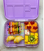 Munchbox Midi 5