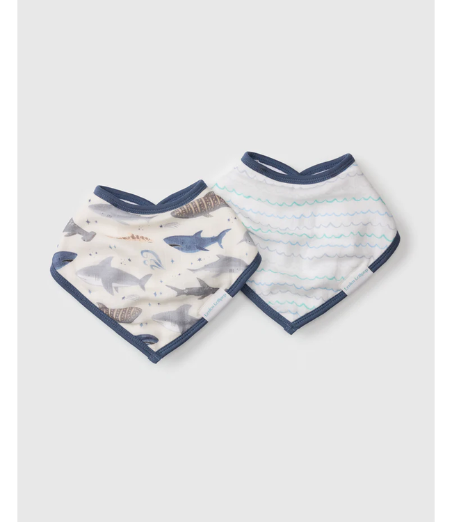 Loulou Lollipop Bandana Bib Set