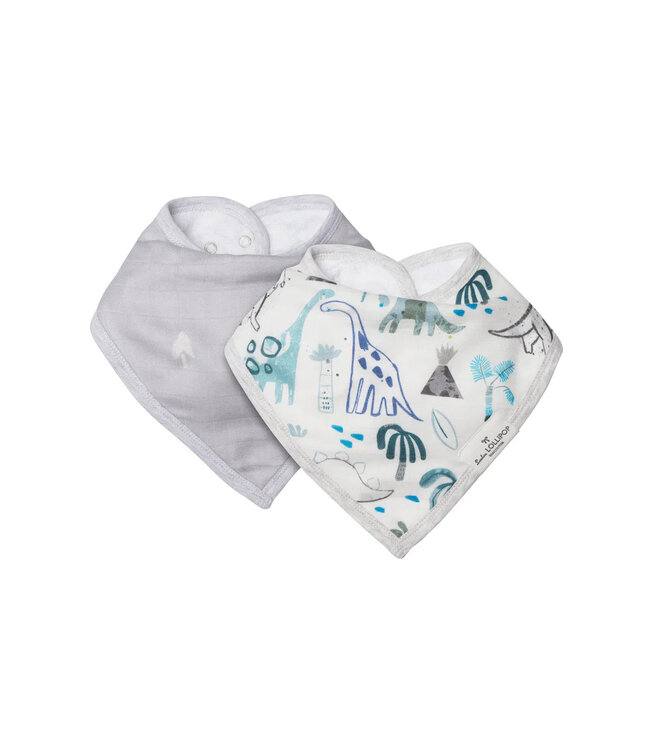 Loulou Lollipop Bandana Bib Set