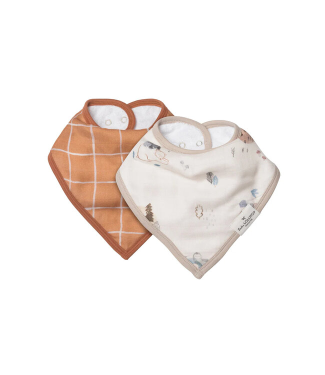 Loulou Lollipop Bandana Bib Set