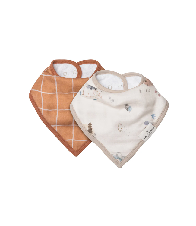 Loulou Lollipop Bandana Bib Set