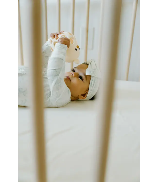 Peaks & Valleys Clucky Chew Buddy