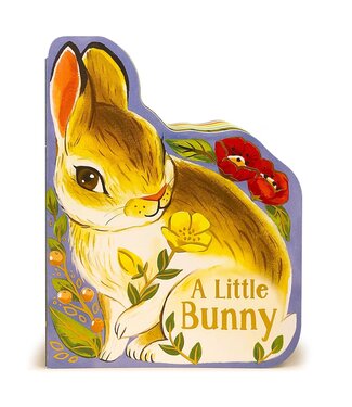 Little Bunny Board Book