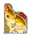 Little Bunny Board Book
