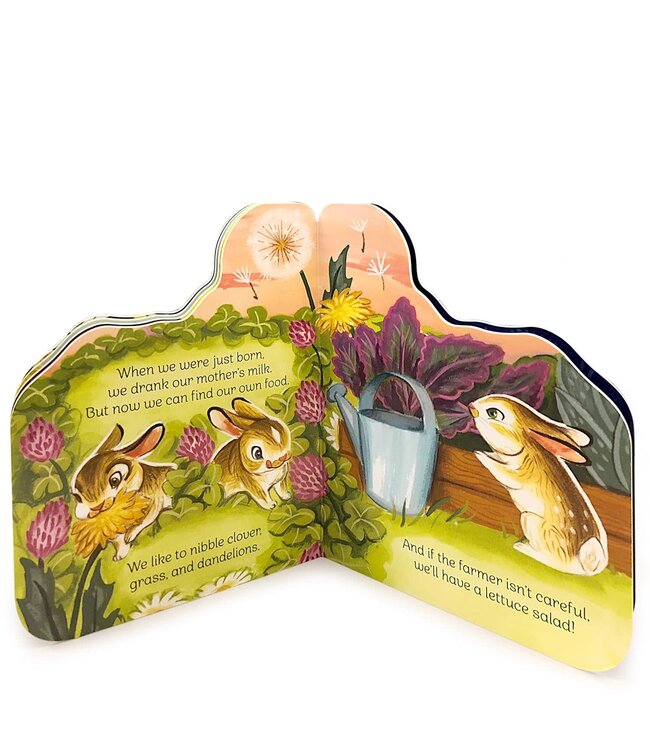 Little Bunny Board Book