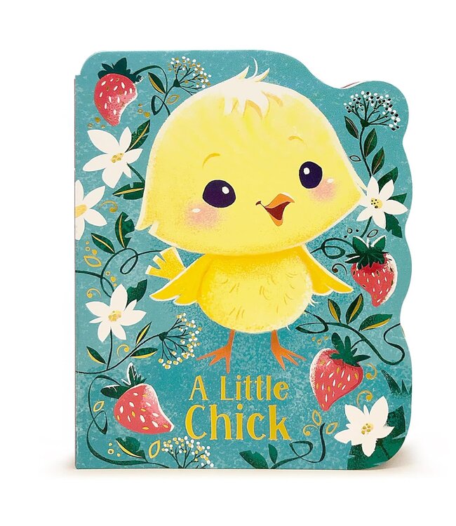Little Chick Board Book