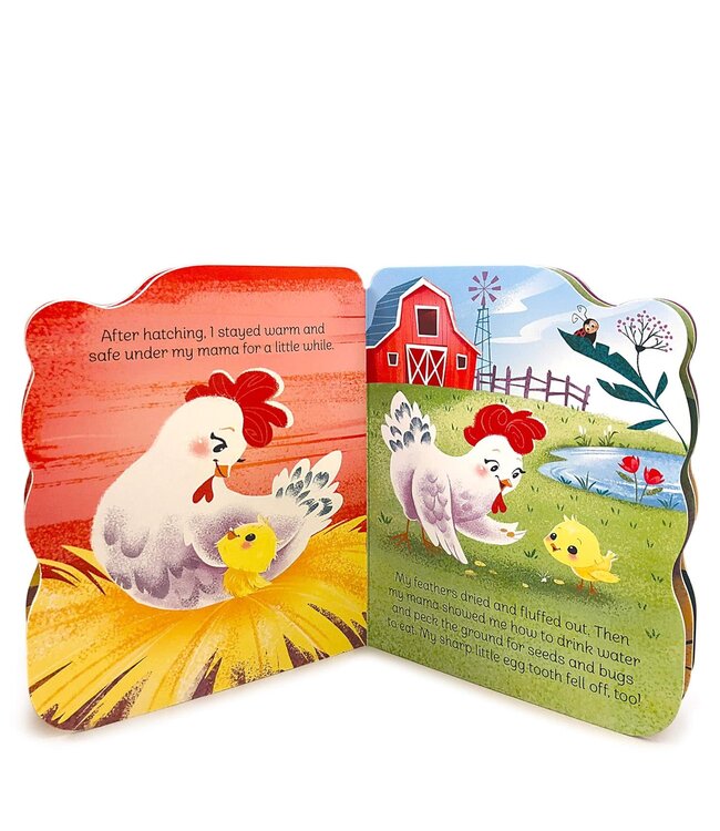 Little Chick Board Book
