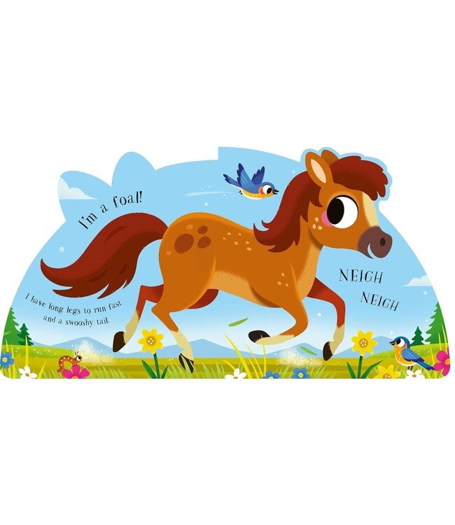 I'm a Bunny Board Book