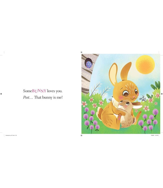 Somebunny Loves You Book