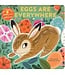 Eggs are Everywhere Book