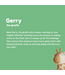 Asobu Bestie Bottle 460ml Giraffe