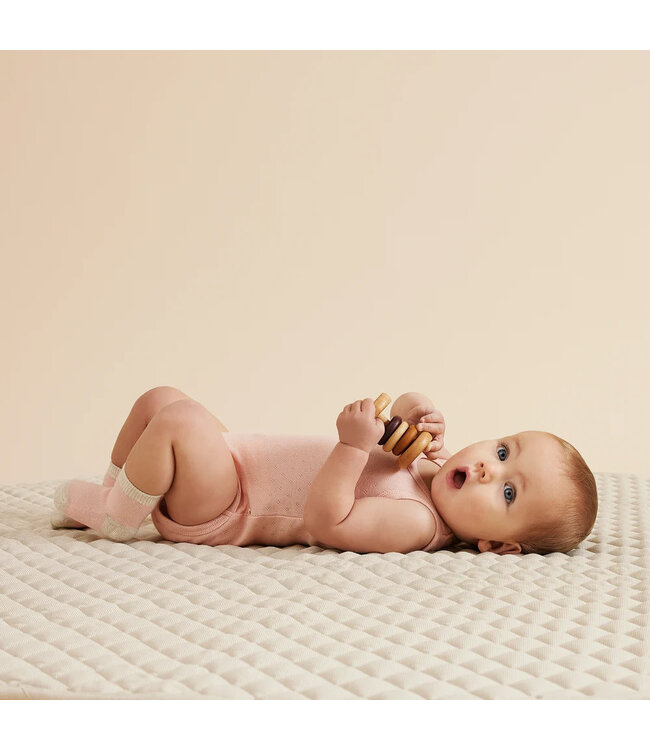 Wilson + Frenchy Organic Baby Socks 3-Pack