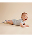 Wilson + Frenchy Organic Baby Socks 3-Pack
