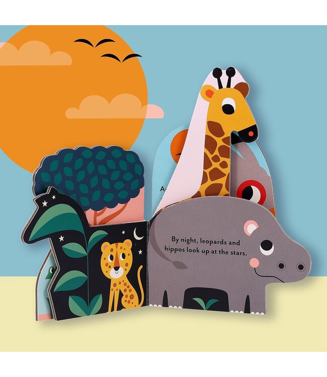 Bookscape Board Book