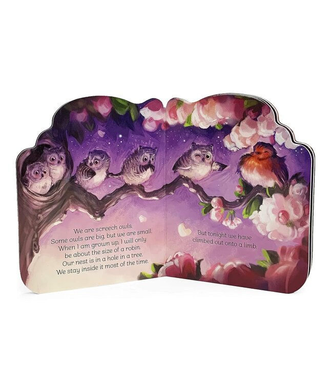 A Little Owl Board Book