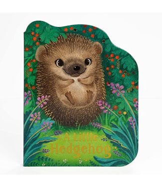 A Little Hedgehog Board Book