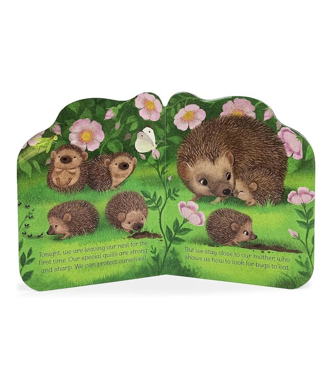 A Little Hedgehog Board Book