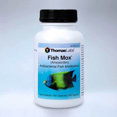 Fish Mox Amoxicillin