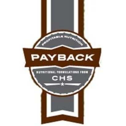 CHS Nutrition Payback Kountry Buffet 14%