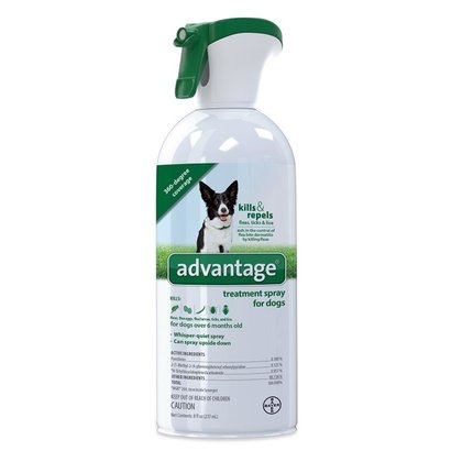 ADVNTG F&T LICE SPRY DOG
