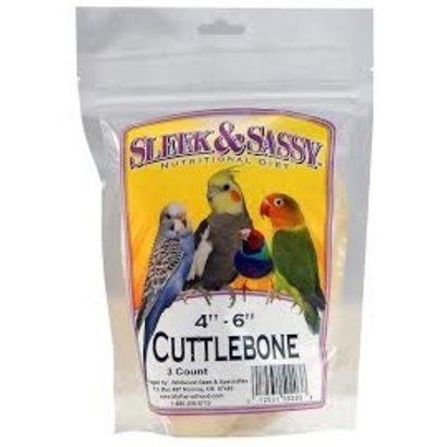 Cuttlebone Small 4-6" 3 pack
