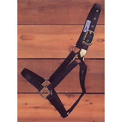 Hamilton Products, Inc. Hamilton Horse Halters 1D