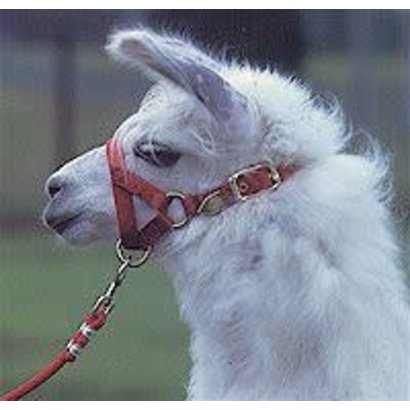 Hamilton Products, Inc. Hamilton Llama Halter